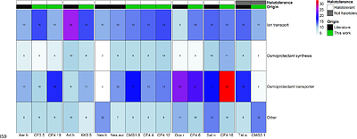 Genomic adaptations of novel halotolerant bacteria from extreme North Greenland