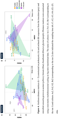 Cultivating microbial communities from the serpentinite-hosted Prony Bay Hydrothermal Field on different carbon sources in hydrogen-fed bioreactors