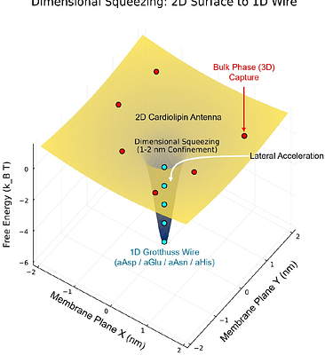 Many-body quantum percolation sustains ohmic proton flux through the nanoconfined Fo motor