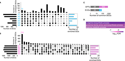 Equivalent fitness increase achieved by active learning-navigated habitat reconstruction and evolution-induced genome mutation