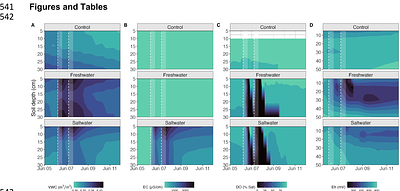 Experimental flooding impacts soil biogeochemistry but not aboveground vegetation in a coastal forest