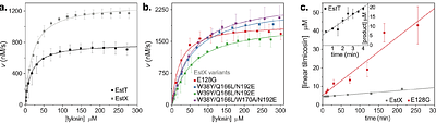 Hydration and hydrolysis define antibiotic resistance conferred by macrolide esterases