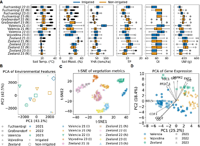 Potato yield can be predicted by using drone-captured and environmental measurements early in the growing season