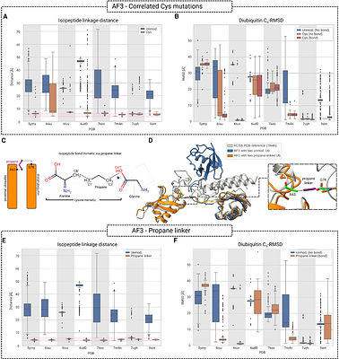 AlphaFold modeling of polyubiquitin complexes and covalently linked proteins