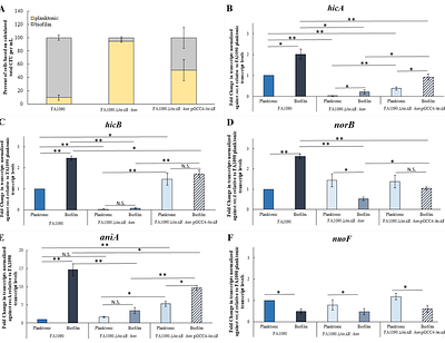 Gentamicin induction of the gonococcal hicAB toxin-antitoxin encoding system and 2 impact on gene expression influencing biofilm formation and in vivo fitness in a strain specific manner