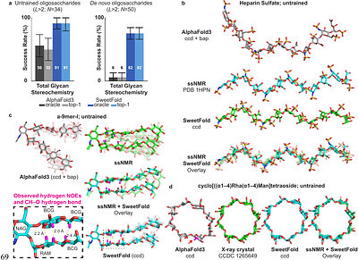 A Glycan-Aware Diffusion Model for Carbohydrate and Glycoprotein Structure Prediction