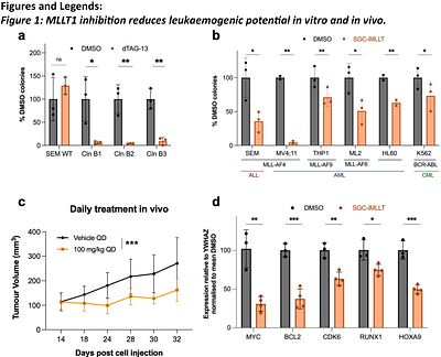 Inhibition of MLLT1 limits growth of MLL-AF4 leukaemias without killing healthy haematopoietic stem cells