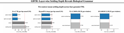 GDTR: Layer-wise Settling Depth Reveals Biological Grammar in Genomic Foundation Models