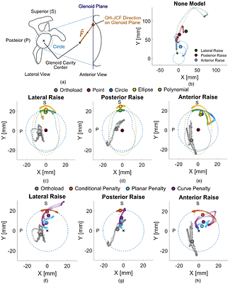 Modeling glenohumeral stability in musculoskeletal simulations: A validation study with in vivo contact forces