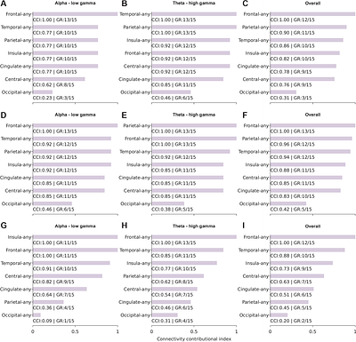 Large-scale functional coupling and computational modelling reveal frontotemporal hotspots in distributed network connectivity during working memory recognition, encoding, and retrieval