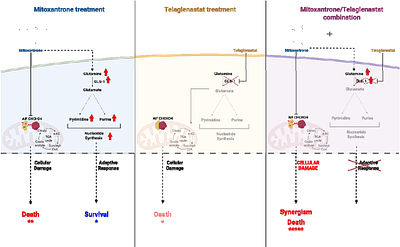 Combined inhibition of AIF/CHCHD4 interaction and GLS1 to exploit metabolic vulnerabilities in pediatric osteosarcoma