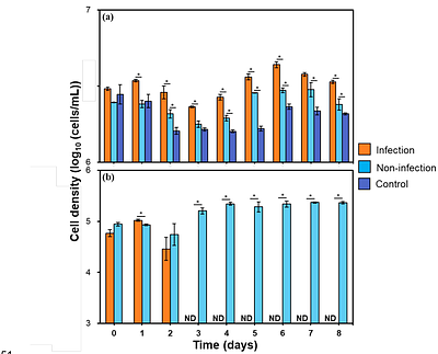 Ecological Role of the Heterotrophic Protist Aurantiochytrium (Labyrinthulomycetes) as a Key Consumer of Viral-Induced Dissolved Organic Matter Following the Lysis of the Red Tide-forming Microalga Heterosigma akashiwo