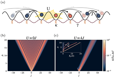 Interaction-Mediated Non-Reciprocal Dynamics in Open Quantum Systems: From an Exactly Solvable Model to Generic Behavior