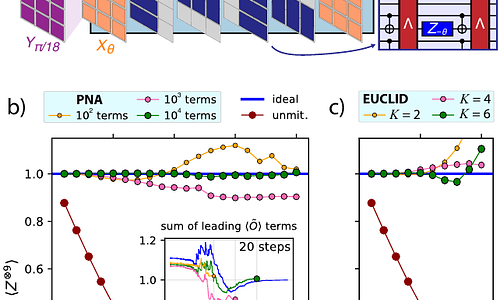 Computing noise-canceling observables via Pauli propagation