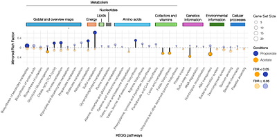 Propionate oxidation by Geobacter sulfurreducens is electron acceptor dependent
