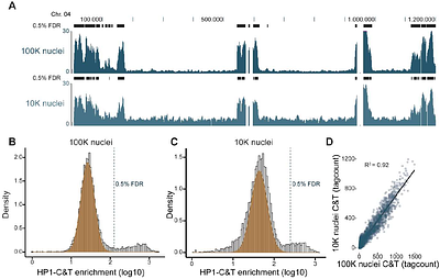 CUT&Tag and DiBioCUT&Tag enable investigation of the AT-rich and dynamic epigenome of Plasmodium falciparum from low input samples.