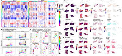 Spatial Single Cell Lipid-Transcriptomic Coupling Reveals Metabolic Niches in Glioblastoma