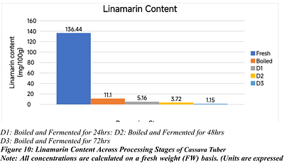 Impact of Sequential Processing (Boiling and Fermentation) on the Nutritional, Anti-nutrient, and Antioxidant Profile of Manihot esculenta Tubers.