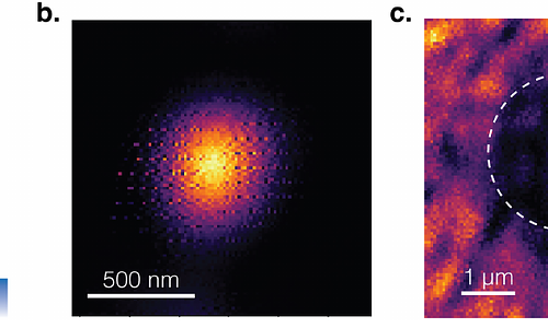 Exploring dynamics of individual vortices in a superconductor via a levitated magnetic transducer