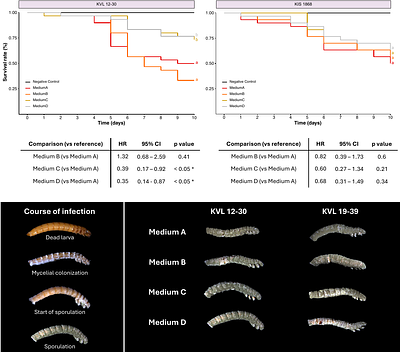 Improving the production and virulence of entomopathogenic fungi for biological control using insect-derived in vitro culture medium