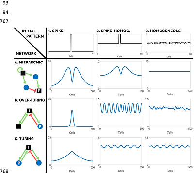 The zoo of the gene networks capable of pattern formation by extracellular signaling