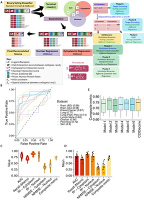 CCIDeconv: Hierarchical model for deconvolution of subcellular cell-cell interactions in single-cell data