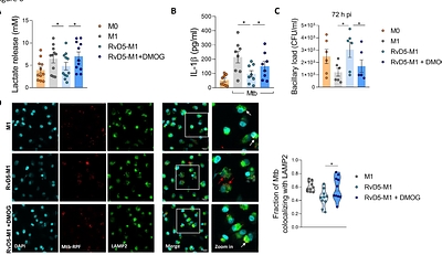 Lipid-mediated GPR32 signaling reprograms macrophage metabolism to impair anti-tuberculous immunity