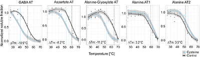 Thermal proteome profiling identifies mitochondrial aminotransferases involved in cysteine catabolism via persulfides in plants
