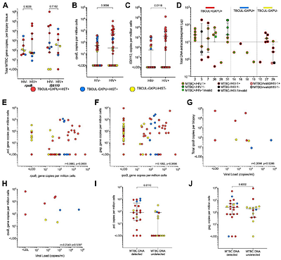 Digital PCR detection of Mycobacterium tuberculosis and HIV-1 co-localization in spinal tuberculosis biopsies