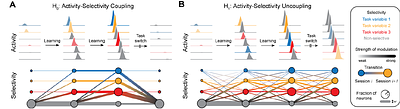 Learning stabilizes temporal activity but not neuronal selectivity in prefrontal cortex