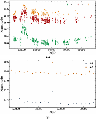 The 2MIG isolated AGNs. 3. Optical--IR variability and dust reverberation in the NLSy1 galaxies Mrk~42 and Mrk~493