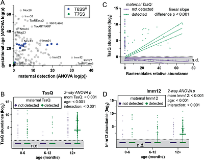 Metagenomic polymorphic toxin effector and immunity profiling predicts microbiome development and disease-related dysbiosis
