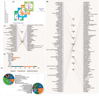 A Systems Biology Approach to Unveil Shared Therapeutic Targets and Pathological Pathways Across Major Human Cancers