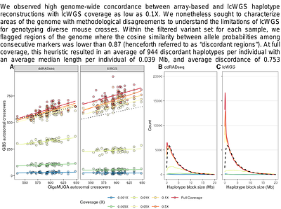 Low-coverage whole-genome sequencing facilitates accurate and cost-effective haplotype reconstruction in complex mouse crosses