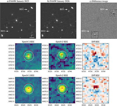 Two Exciting High-redshift Galaxy Candidates Turn Out to Be Two Exciting Ultra-cool Brown Dwarfs