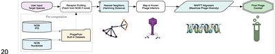 PhagePickr: A bacteria-centric computational tool for designing evolution-proof phage cocktails