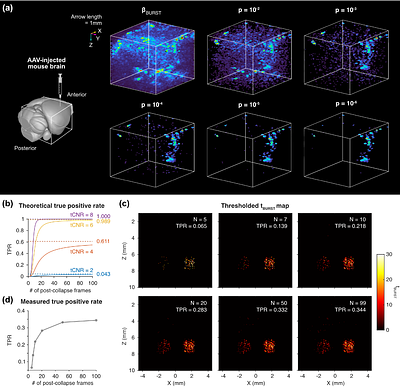 Statistical BURST imaging for high-fidelity biomolecular ultrasound