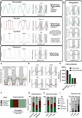 PyCycleBio: modelling non-sinusoidal-oscillator systems in temporal biology