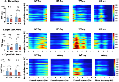 Alterations in Electroencephalography Signals in Female Fragile X Syndrome Mouse Model on a C57Bl/6J Background