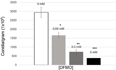 Chemical inhibition of asexual development leads to increased ultimate tensile strength in mycelial material.