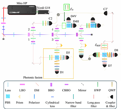 Coherence Transfer in Quantum Networks