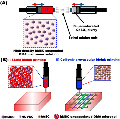 In situ cell-only bioprinting of patterned prevascular tissue into bioprinted high-density stem cell-laden microgel bioinks for vascularized bone tissue regeneration