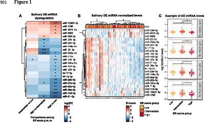 Altered salivary miRNA profiles and microbiome composition correlate with psychosocial stress
