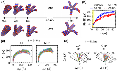 On the Curvature and Relaxation of Microtubule Plus-endTips