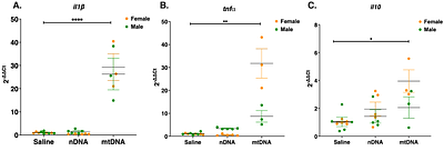Fetal sex shapes placental inflammatory responses to extracellular mitochondrial DNA