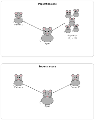 How to Forage for a Mate?