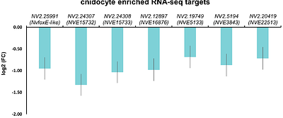 Conserved and lineage-restricted gene regulatory programs modulate developmental cnidocyte specification in Nematostella vectensis.