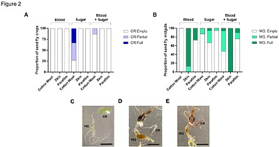 Exploiting nectar and blood feeding cues and phagostimulants to optimise Attractive Targeted Sugar Baits against a sand fly vector of leishmaniasis.