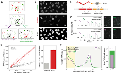 Collective unstructured interactions drive chromatin binding of transcription factors