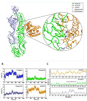AGPAT1 is a novel Chikungunya virus receptor on human cells
